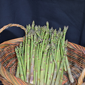 Plant Photo 8
